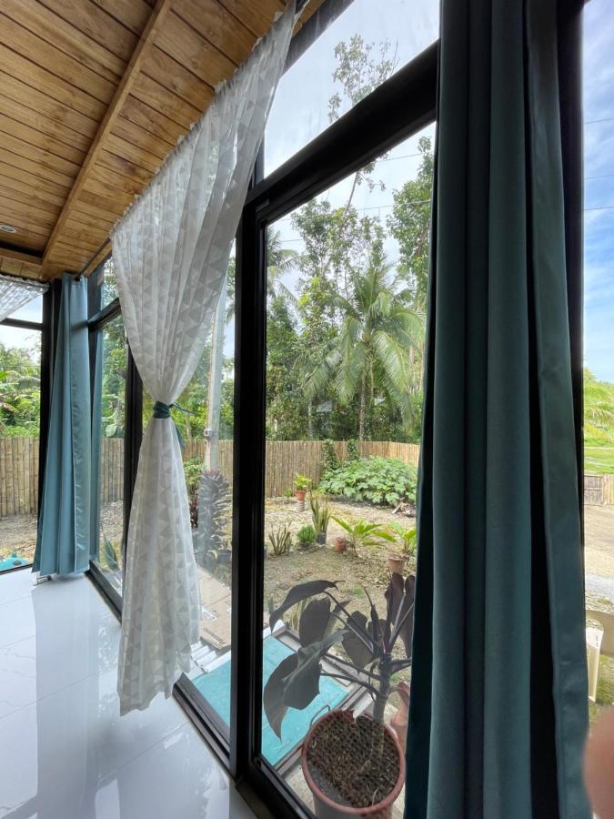 Casa Aguelo Chocolate Hills Bed & Breakfast Carmen  ภายนอก รูปภาพ