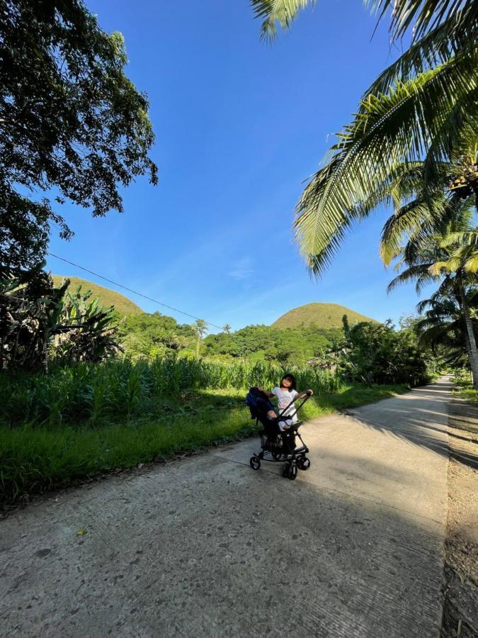 Casa Aguelo Chocolate Hills Bed & Breakfast Carmen  ภายนอก รูปภาพ