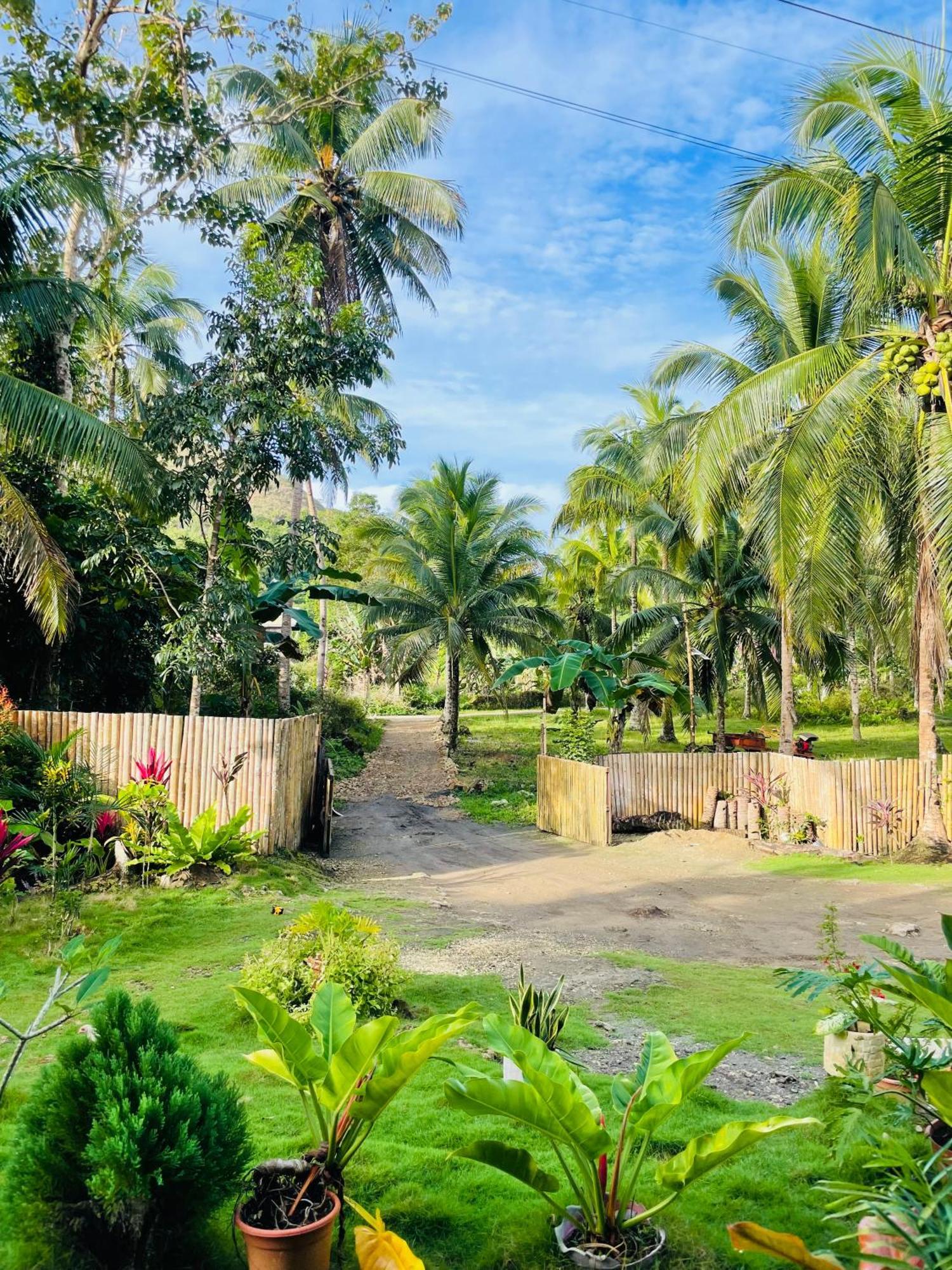 Casa Aguelo Chocolate Hills Bed & Breakfast Carmen  ภายนอก รูปภาพ