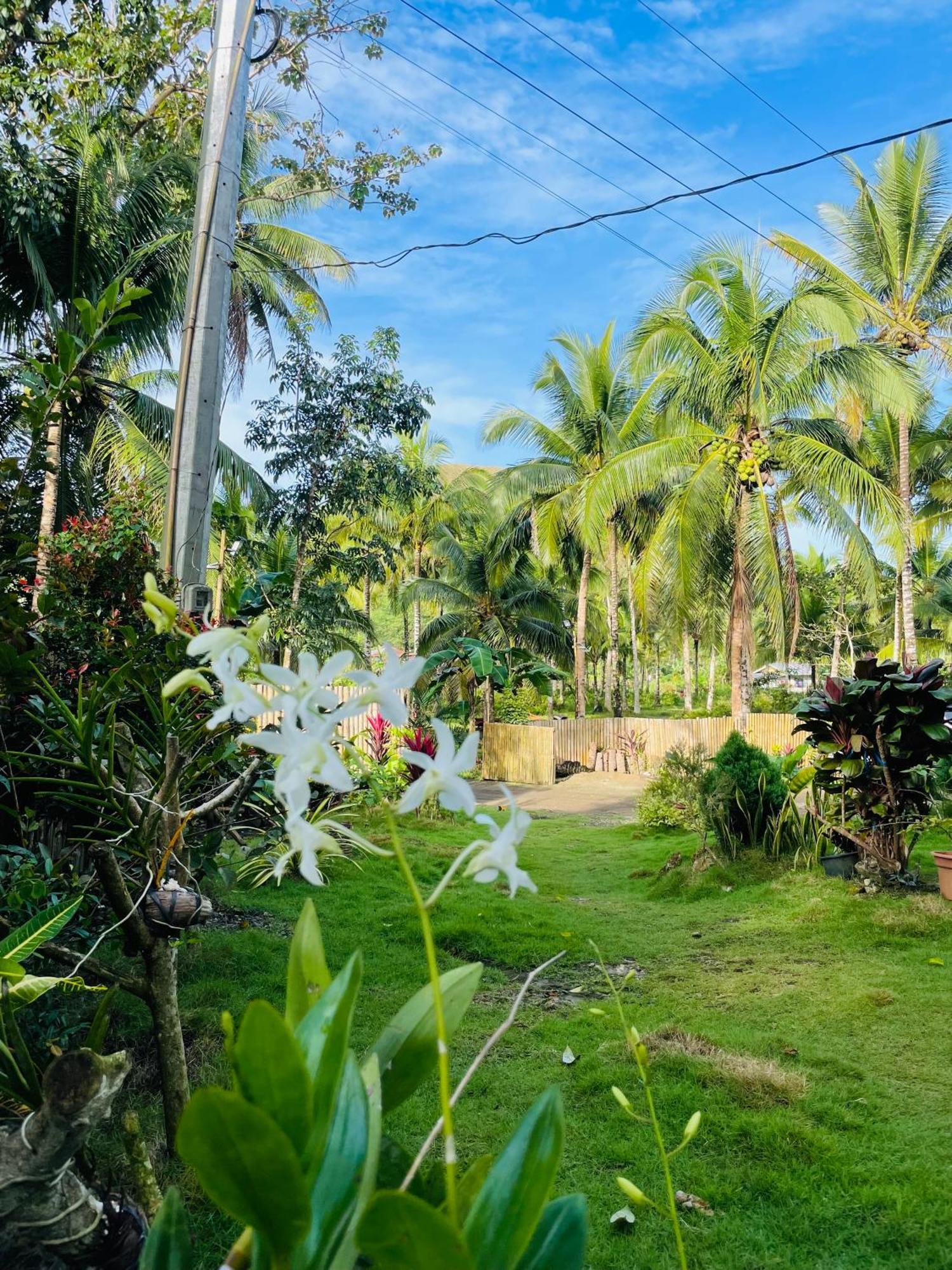 Casa Aguelo Chocolate Hills Bed & Breakfast Carmen  ภายนอก รูปภาพ