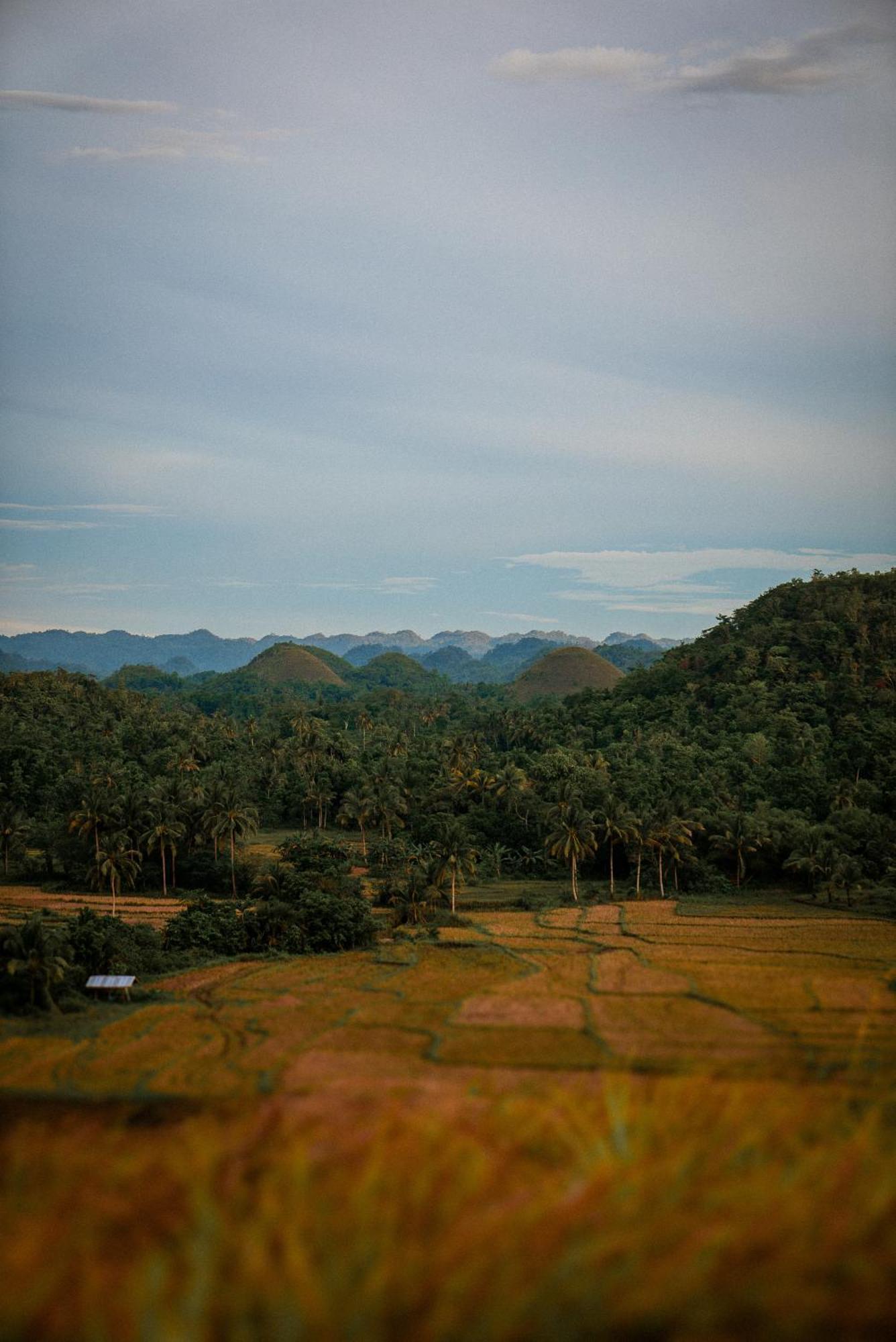 Casa Aguelo Chocolate Hills Bed & Breakfast Carmen  ภายนอก รูปภาพ